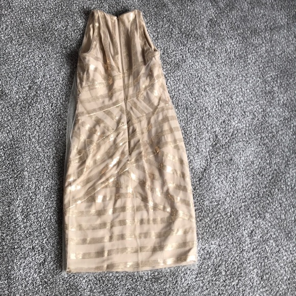 Tadashi Shoji tulle champagne dress 4 - Picture 5 of 6